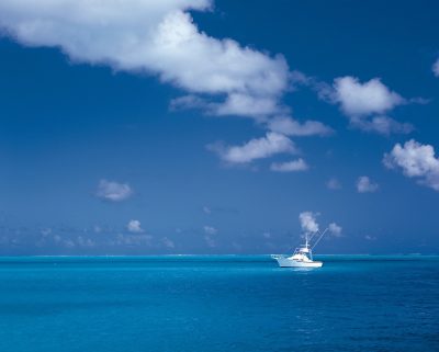 catamaran marco island